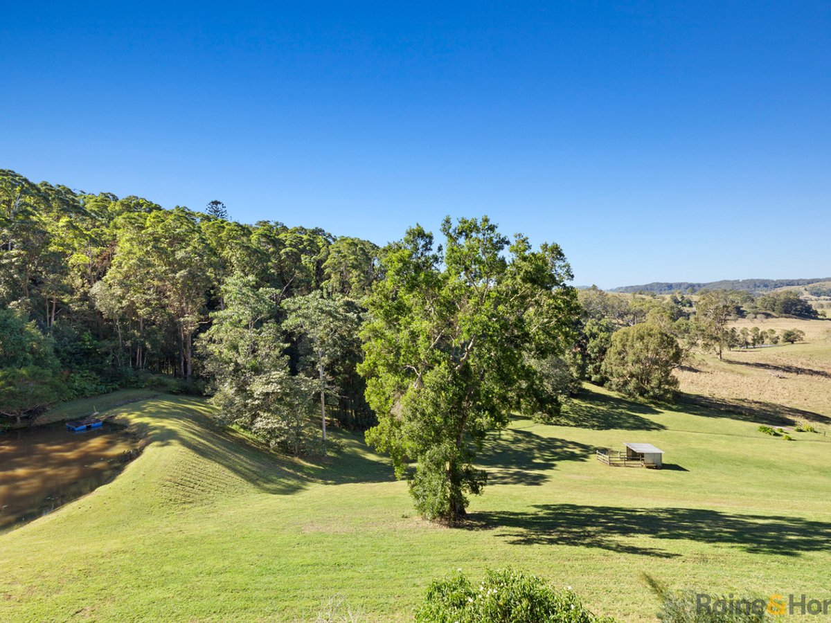 55 Wallum Court, RESERVE CREEK - Image 1