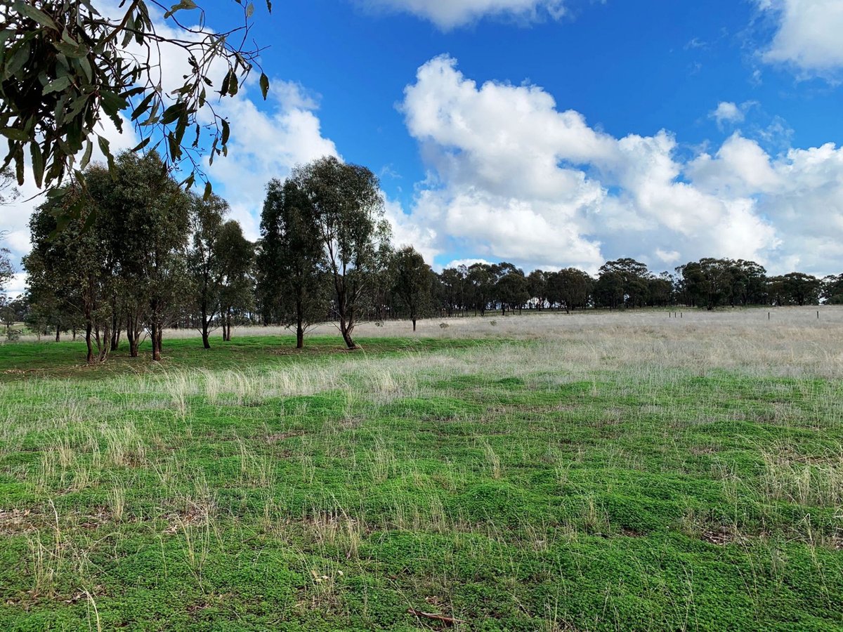 18a Heathcote-Rochester Road, Bonn - Image 1