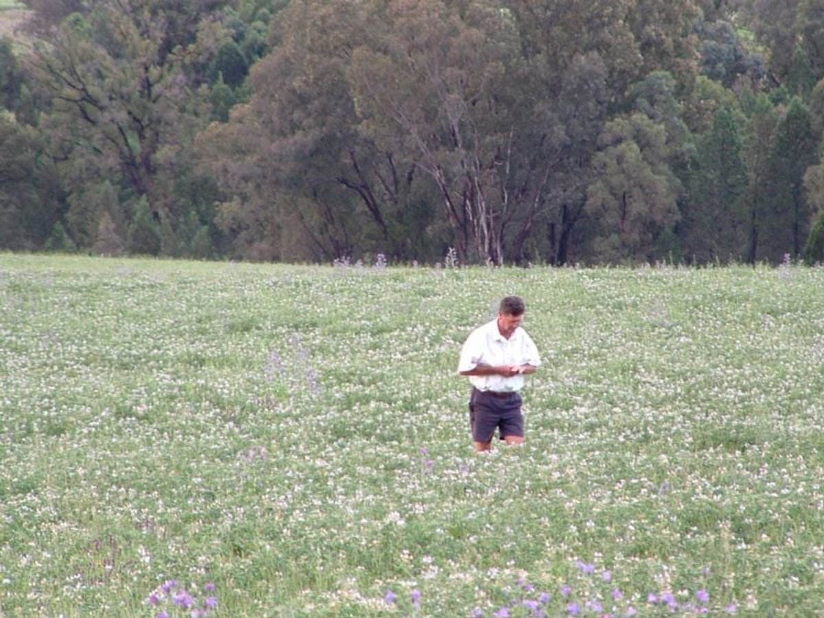 325 Toorawandi Road, Ulamambri - Image 1