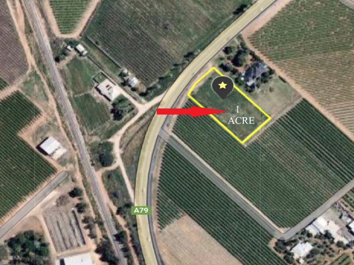 9260 Calder Highway, Irymple - Image 1