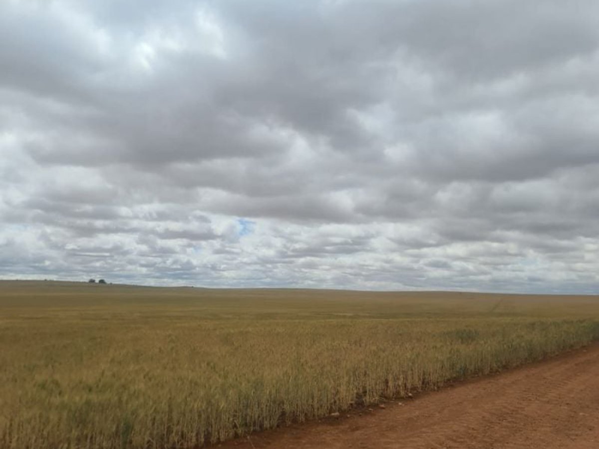 52 Farr Road, Wunkar - Image 1