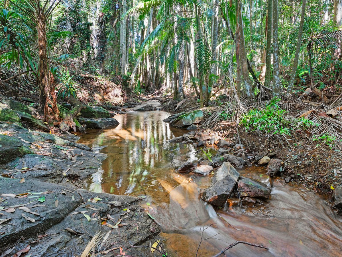 28a Geissmann Street, TAMBORINE MOUNTAIN - Image 1