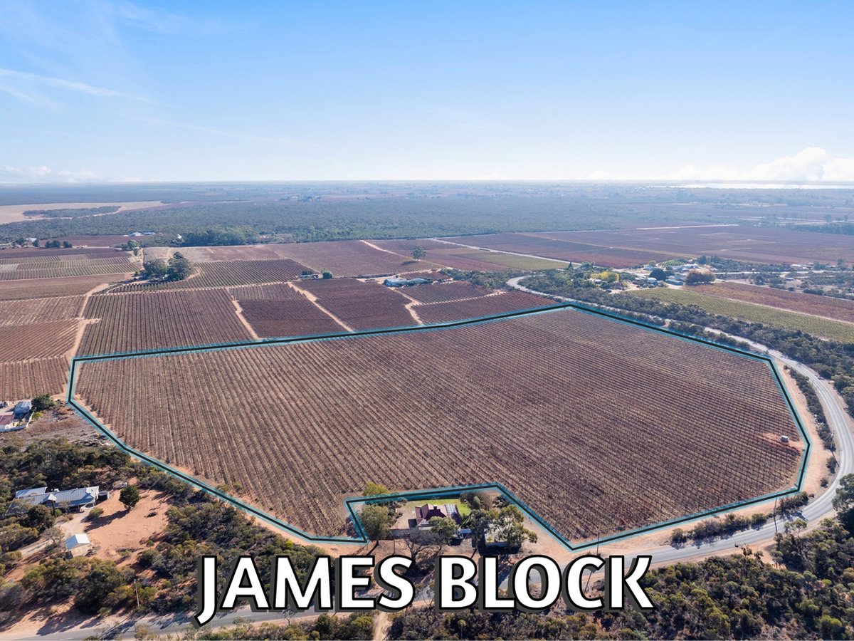 Lt1 Dalziel Road, WINKIE - Image 1