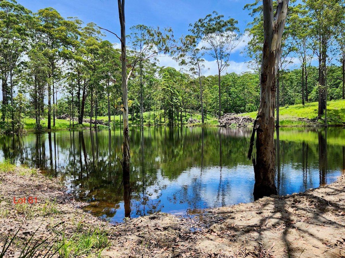 Lot 61/485/484/483/7 Bellthorpe Road, SANDY CREEK - Image 1