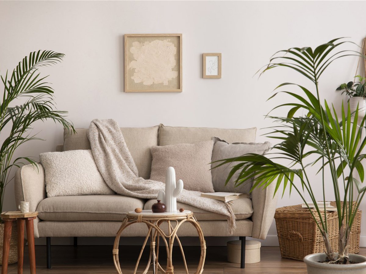 242 Canvey Road, UPPER KEDRON - Image 1