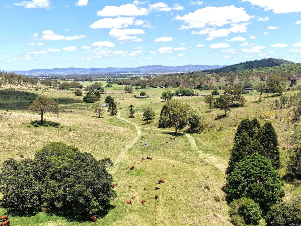 516 Scrub Creek Road, Scrub Creek - Image 1
