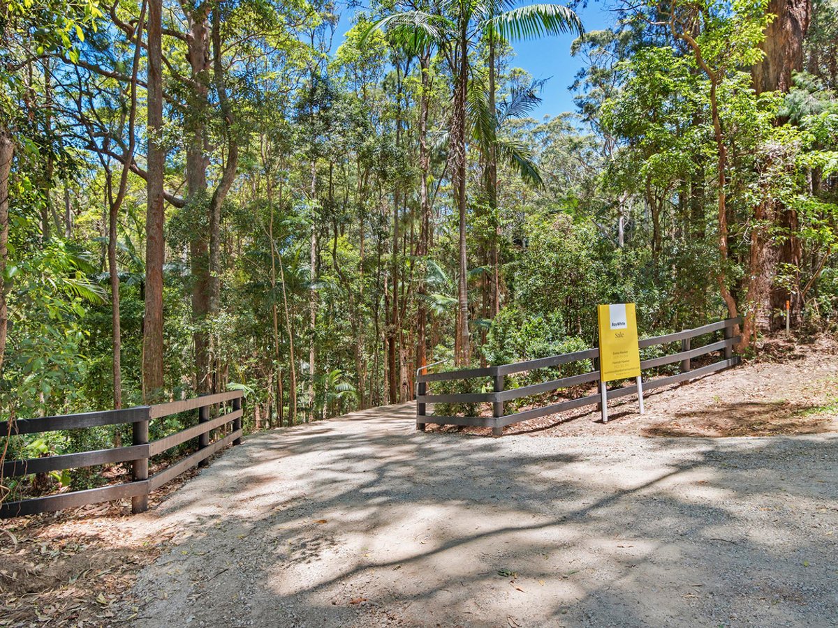 127 Wongawallan Road, TAMBORINE MOUNTAIN - Image 1