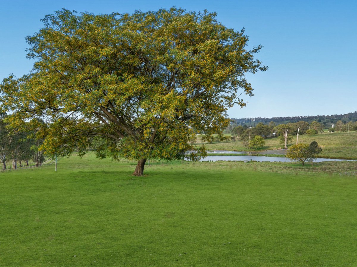 256 Veresdale Scrub School Road, Veresdale Scrub - Image 1